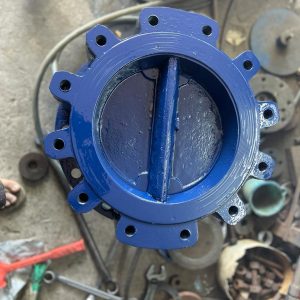 Dual Plate check valve-speciality valve