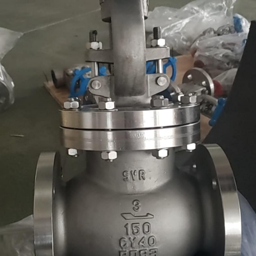 Stainless Steel Globe Valve supplier in India