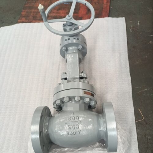 Steel Globe Valve Manufacturers in India